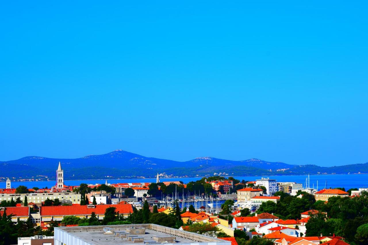 Tammy * Zadar